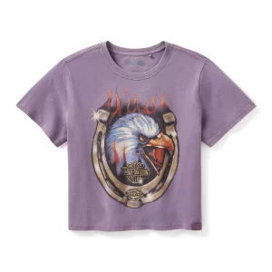Maglietta corta squadrata Flaming Eagle Dickies x H-D