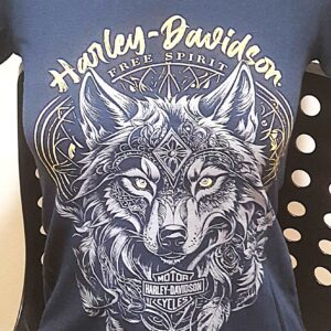 T-SHIRT HARLEY-DAVIDSON CON LOGO POWER UP SALERNO